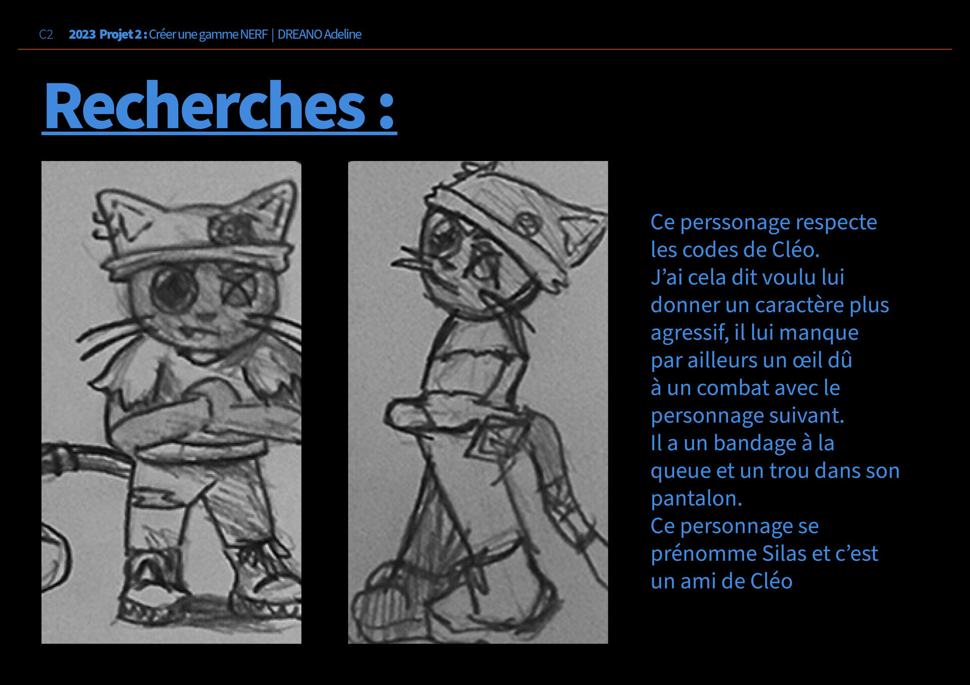 adeline-locadart-dreano-dossier-pour-projet-nerf-pcq-l-ancien-pue8